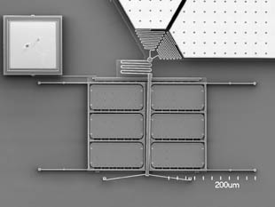 Adaptive Optics